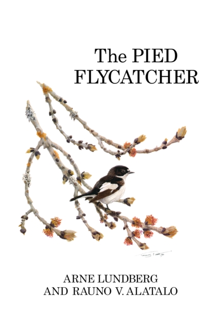 The Pied Flycatcher, PDF eBook