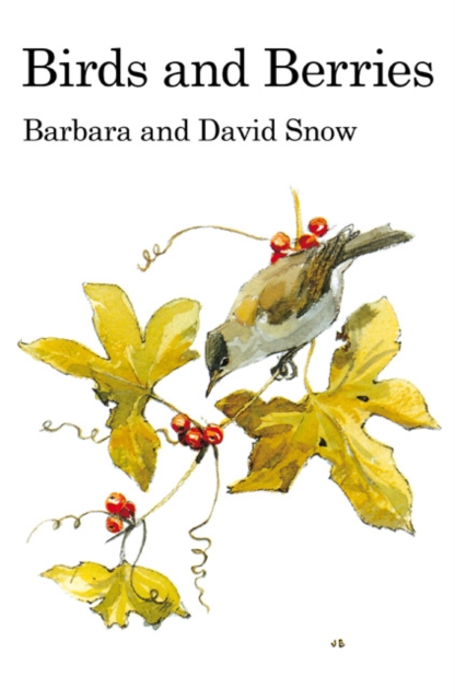 Birds and Berries, Hardback Book