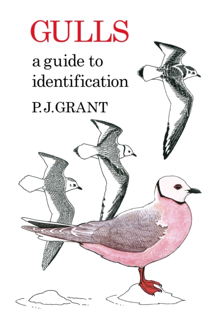 Gulls: A Guide to Identification. 2nd Edition, EPUB eBook