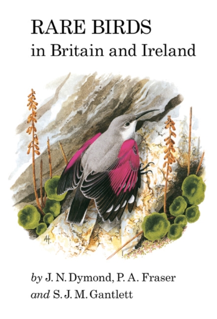 Rare Birds in Britain and Ireland : (1989), Hardback Book