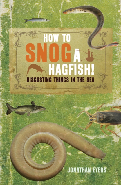 How to Snog a Hagfish! : Disgusting Things in the Sea, Paperback / softback Book