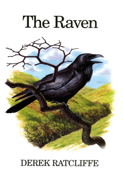The Raven, PDF eBook