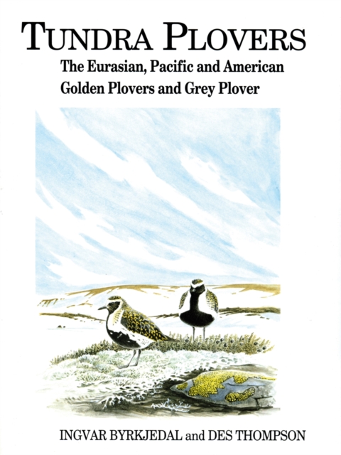 Tundra Plovers : The Eurasian, Pacific and American Golden Plovers and Grey Plover, PDF eBook