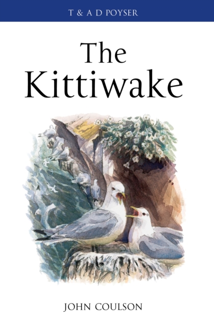 The Kittiwake, PDF eBook