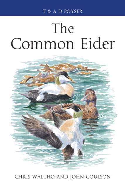 The Common Eider, EPUB eBook