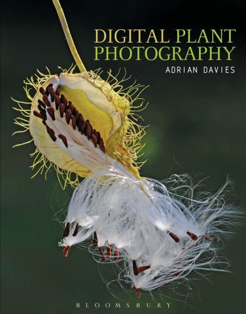 Digital Plant Photography : For Beginners to Professionals, Paperback / softback Book