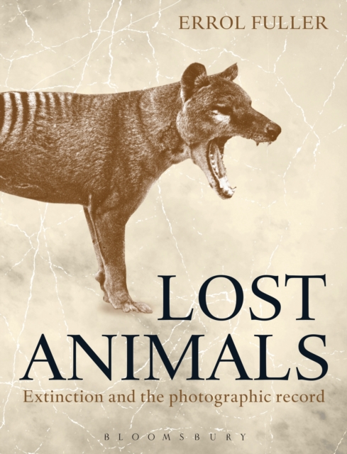 Lost Animals : Extinction and the Photographic Record, Hardback Book