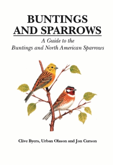 Buntings and Sparrows : A Guide to the Buntings and North American Sparrows, Hardback Book