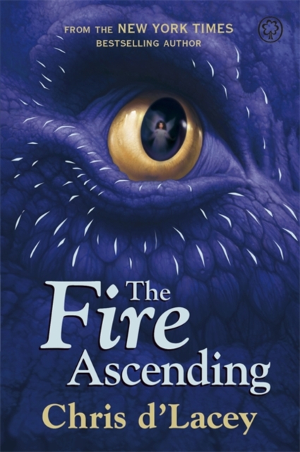 The Last Dragon Chronicles: The Fire Ascending : Book 7, Paperback / softback Book