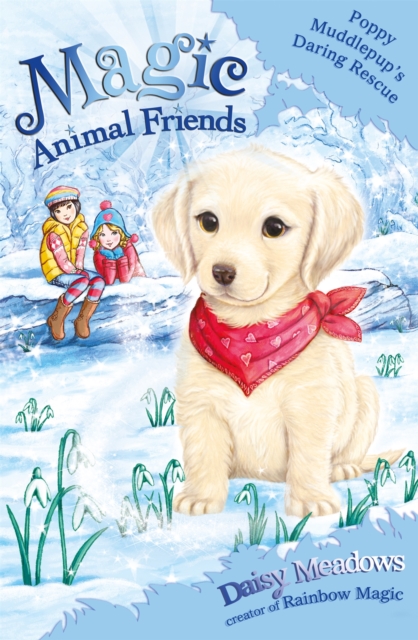 Magic Animal Friends: Poppy Muddlepup's Daring Rescue : Special 1, Paperback / softback Book