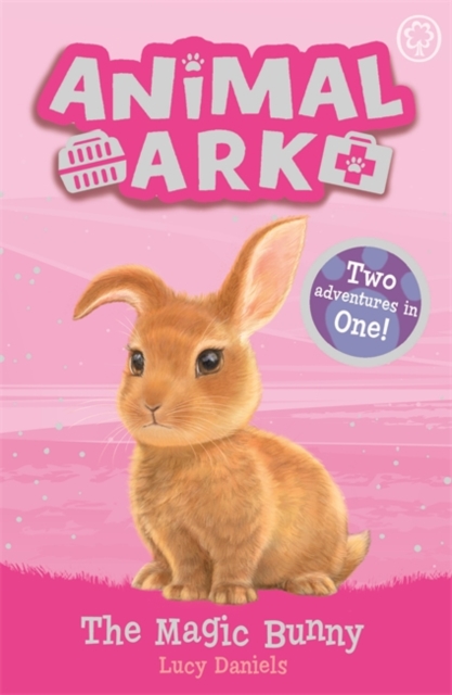 Animal Ark, New 4: The Magic Bunny : Special 4, Paperback / softback Book