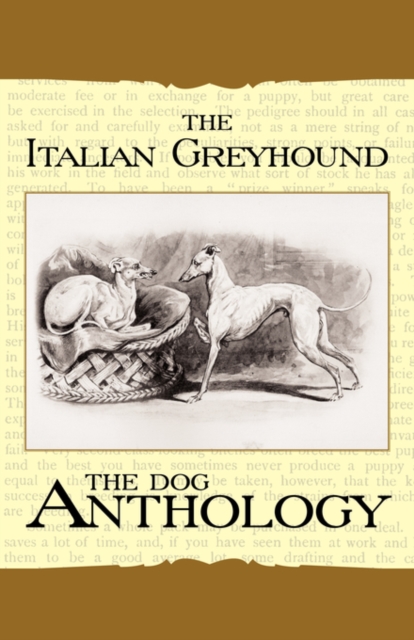 The Italian Greyhound - A Dog Anthology (A Vintage Dog Books Breed Classic), Paperback / softback Book