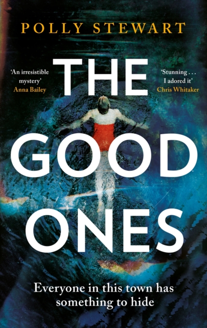 The Good Ones : A gripping page-turner about a missing woman and dark secrets in a small town, Paperback / softback Book
