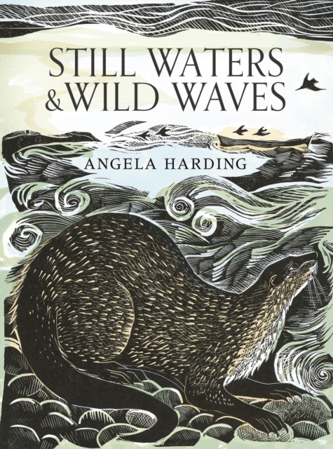 Still Waters & Wild Waves, Hardback Book