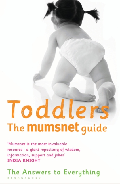 Toddlers: The Mumsnet Guide : The Answers to Everything, EPUB eBook
