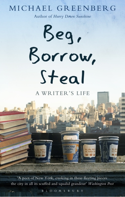 Beg, Borrow, Steal : A Writer's Life, Paperback / softback Book