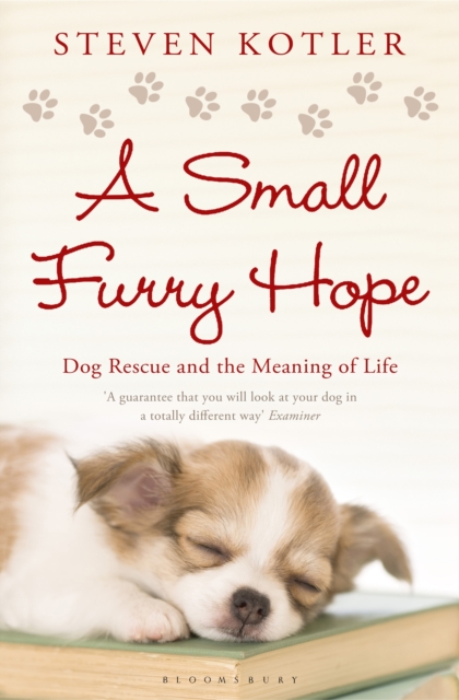 A Small Furry Hope : Dog Rescue and the Meaning of Life, EPUB eBook