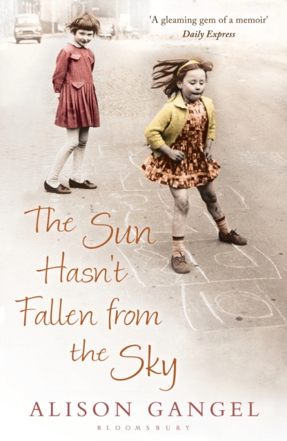 The Sun Hasn't Fallen From the Sky, EPUB eBook