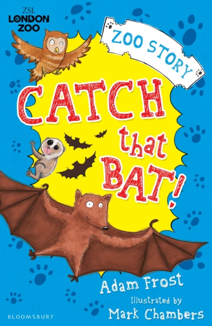 Catch That Bat!, Paperback Book