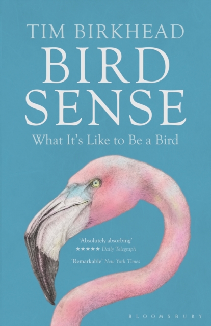 Bird Sense : What it's Like to be a Bird, Paperback / softback Book
