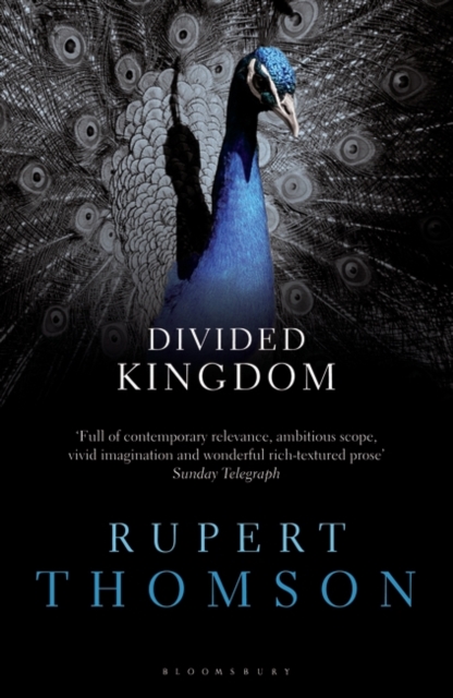 Divided Kingdom, Paperback / softback Book