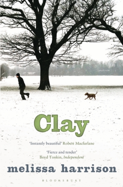 Clay, Paperback / softback Book