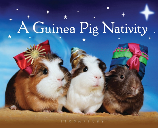 A Guinea Pig Nativity, Hardback Book