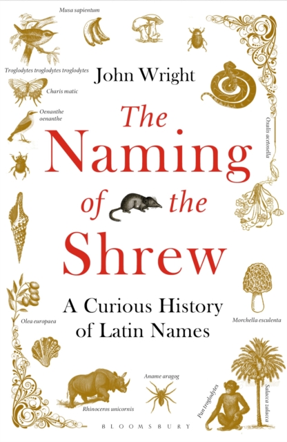 The Naming of the Shrew : A Curious History of Latin Names, Paperback / softback Book