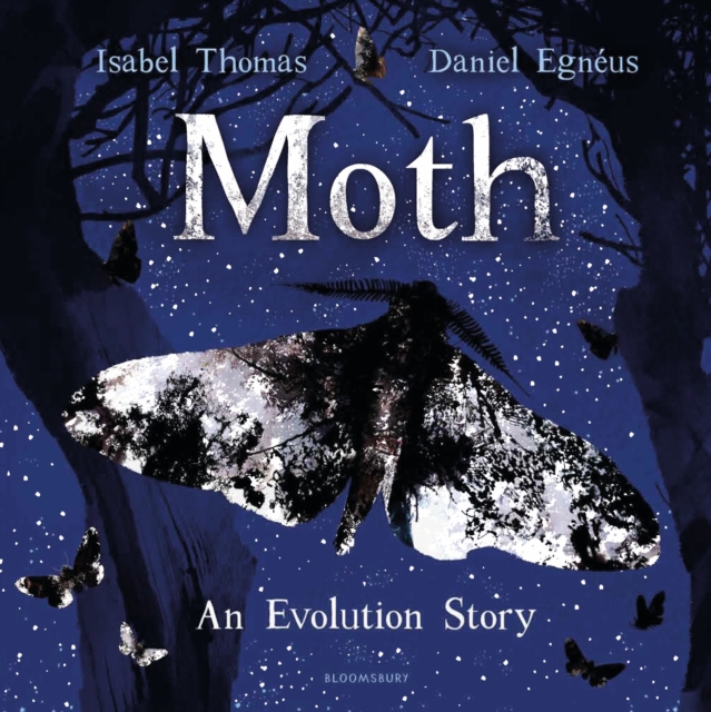 Moth, Hardback Book