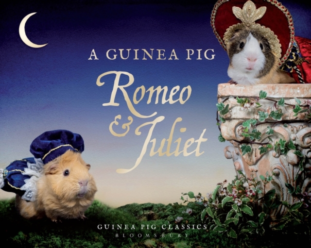 A Guinea Pig Romeo & Juliet, Hardback Book