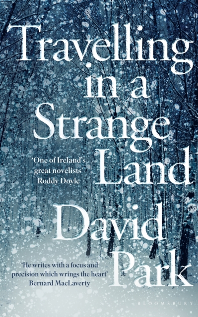 Travelling in a Strange Land : Winner of the Kerry Group Irish Novel of the Year, EPUB eBook