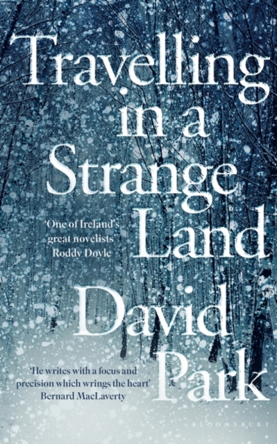 Travelling in a Strange Land : Winner of the Kerry Group Irish Novel of the Year, Hardback Book