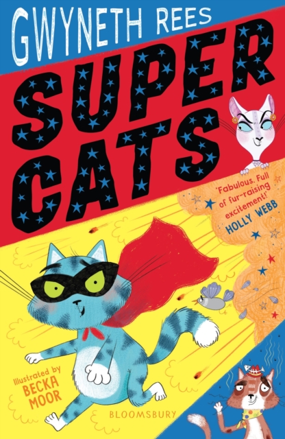 Super Cats, Paperback / softback Book