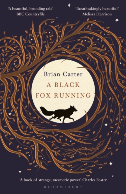 A Black Fox Running, Paperback / softback Book