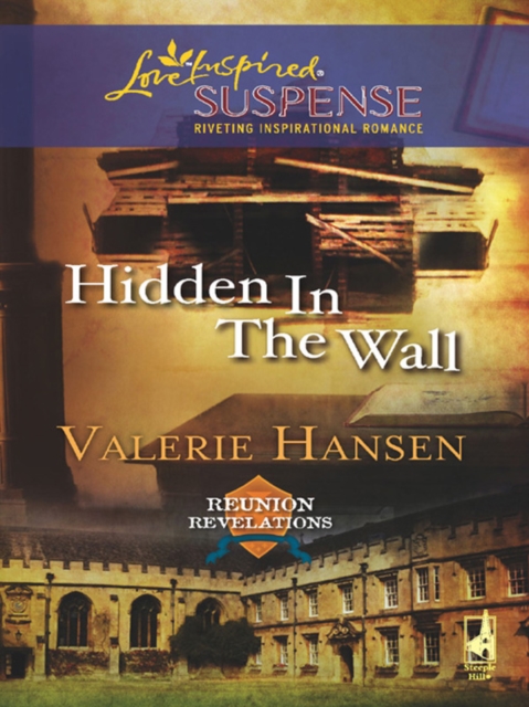 Hidden in the Wall, EPUB eBook