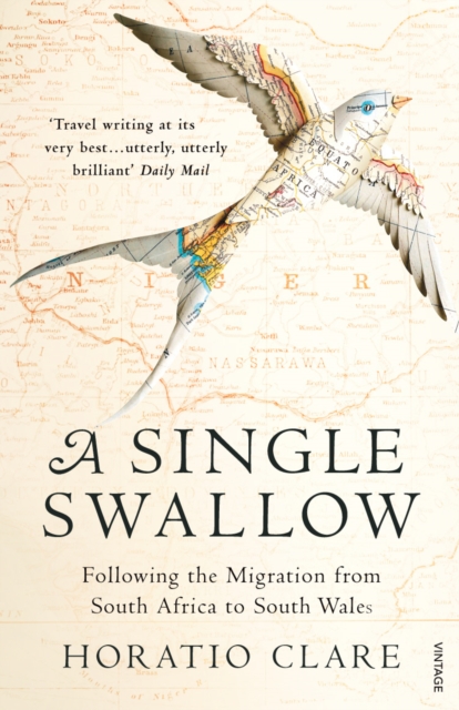 A Single Swallow : Following An Epic Journey From South Africa To South Wales, EPUB eBook