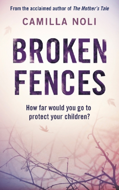 Broken Fences, EPUB eBook
