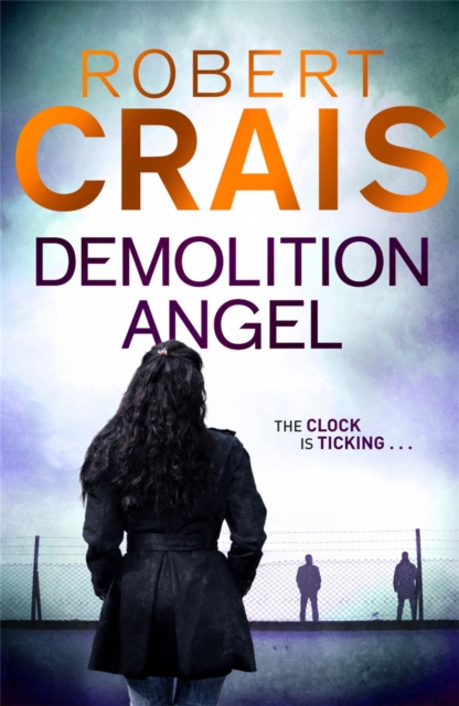 Demolition Angel, Paperback / softback Book