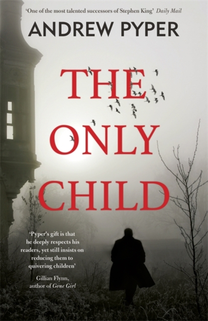 The Only Child, Paperback / softback Book