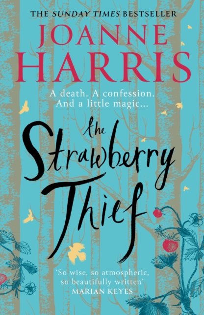 The Strawberry Thief : The Sunday Times bestselling novel from the author of Chocolat, EPUB eBook