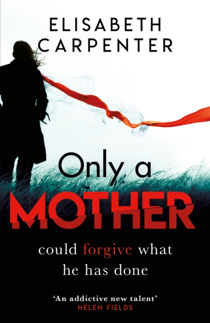 Only a Mother : A gripping psychological thriller with a shocking twist, Paperback / softback Book