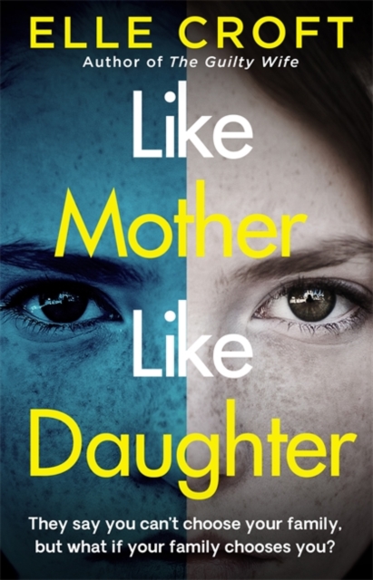 Like Mother, Like Daughter : A gripping and twisty psychological thriller exploring who your family really are, Paperback / softback Book