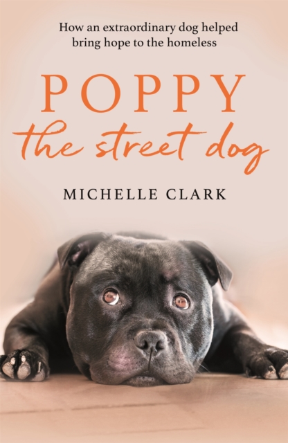 Poppy The Street Dog : How an extraordinary dog helped bring hope to the homeless, Paperback / softback Book