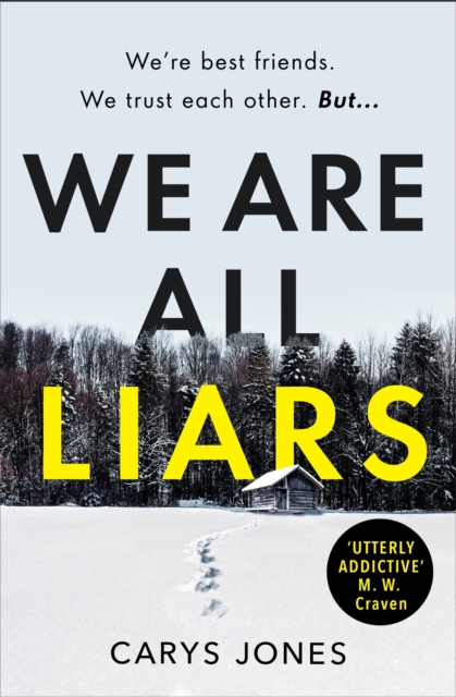 We Are All Liars : The 'utterly addictive' winter thriller with twists you won't see coming, EPUB eBook