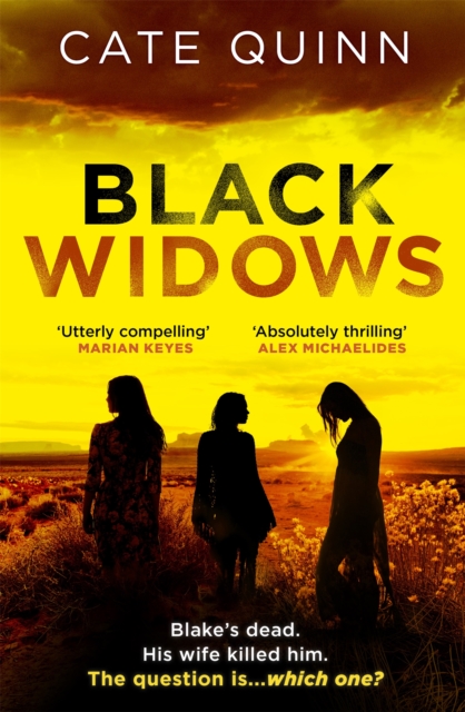 Black Widows : The atmospheric and addictive Mormon murder mystery, Paperback / softback Book