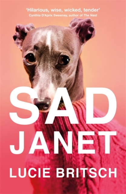 Sad Janet : A darkly hilarious novel about finding happiness in time for Christmas, Hardback Book