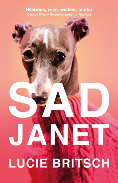 Sad Janet : A darkly hilarious novel about finding happiness in time for Christmas, EPUB eBook