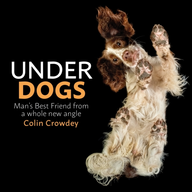 Underdogs, EPUB eBook