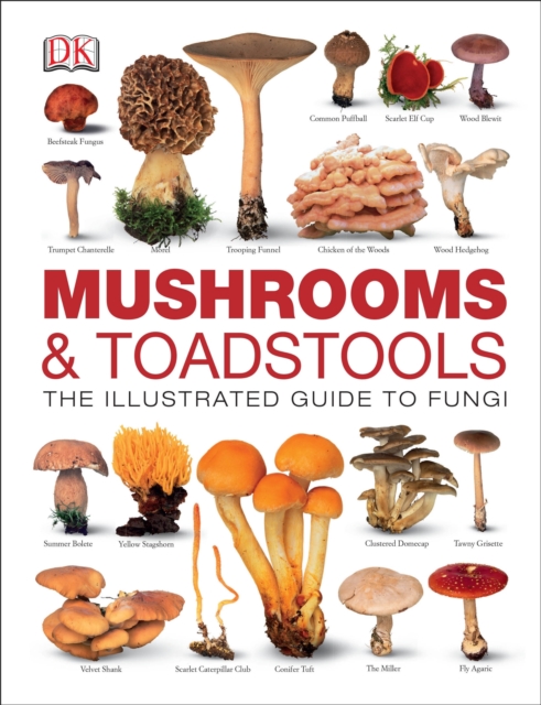 Mushrooms & Toadstools : The Illustrated Guide to Fungi, Hardback Book