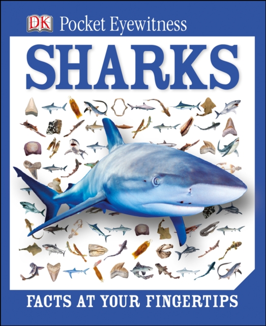 DK Pocket Eyewitness Sharks, Hardback Book